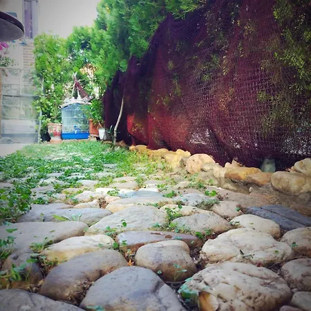 Joanna&alex * Nea Poteidaia